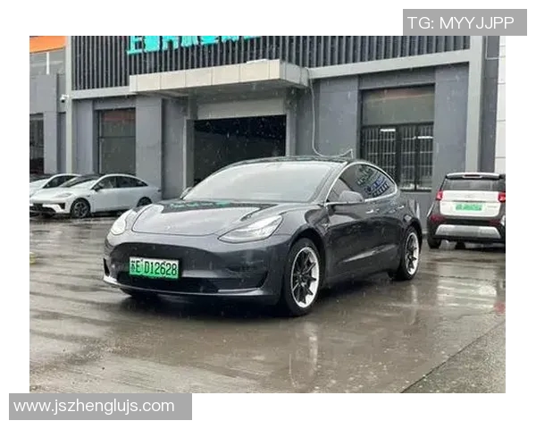 足球巨星特斯拉赛场风采尽显速度与激情魅力 足球巨星特斯拉赛场风采尽显速度与激情魅力